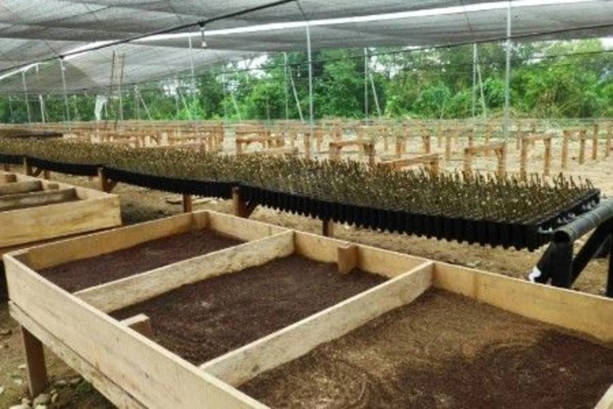 Green house