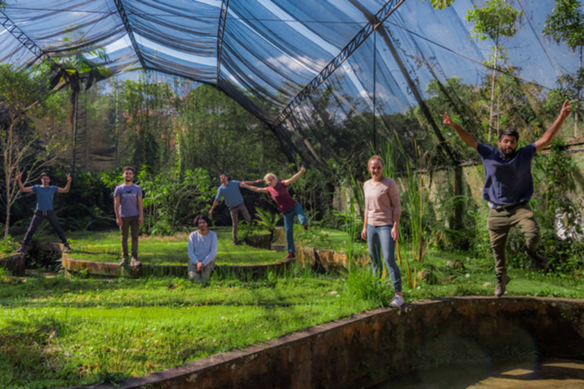 Greenhouse