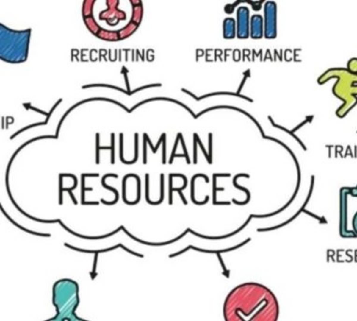Group of diverse professionals in a meeting room discussing human resources management strategies.