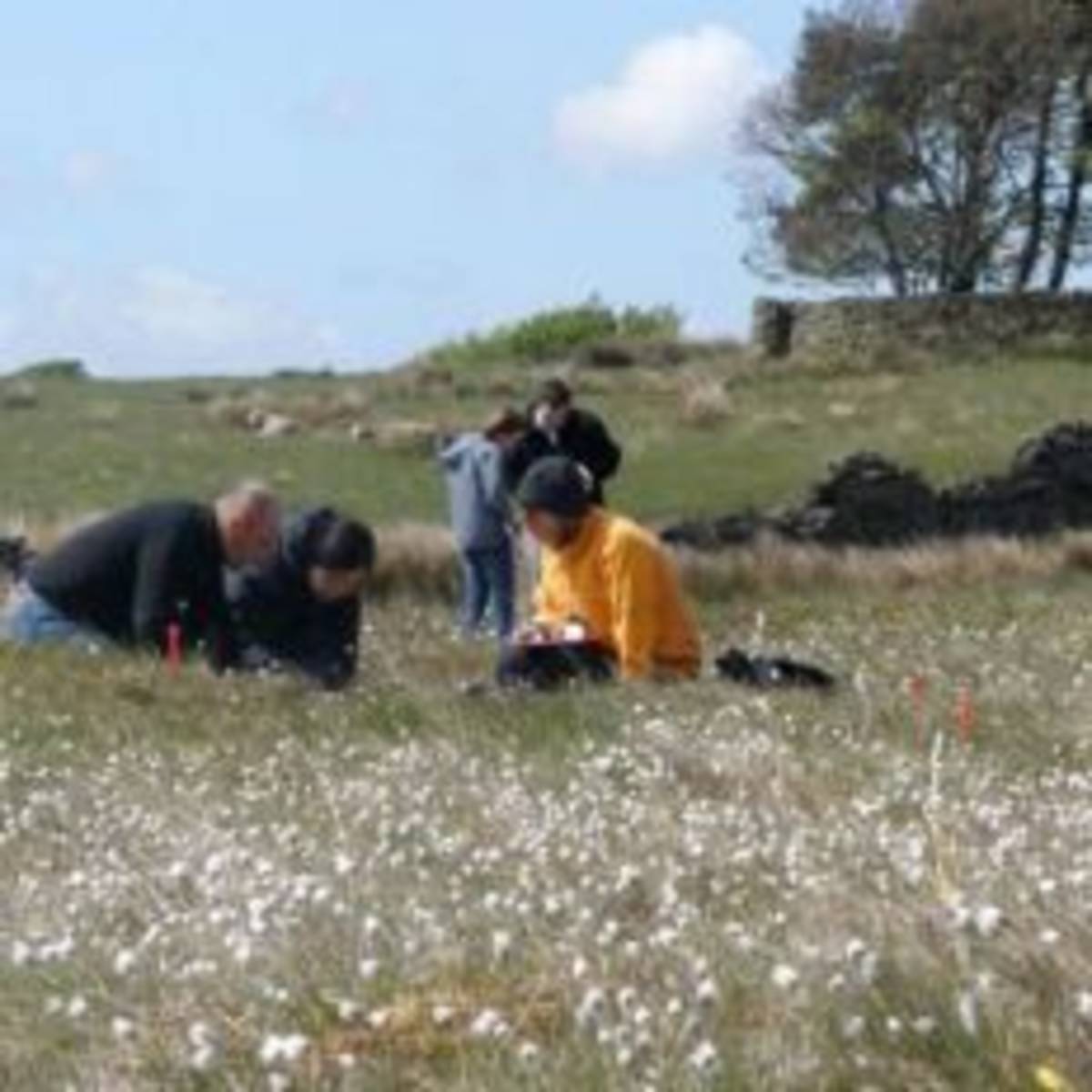 Group of individuals in a grassy field