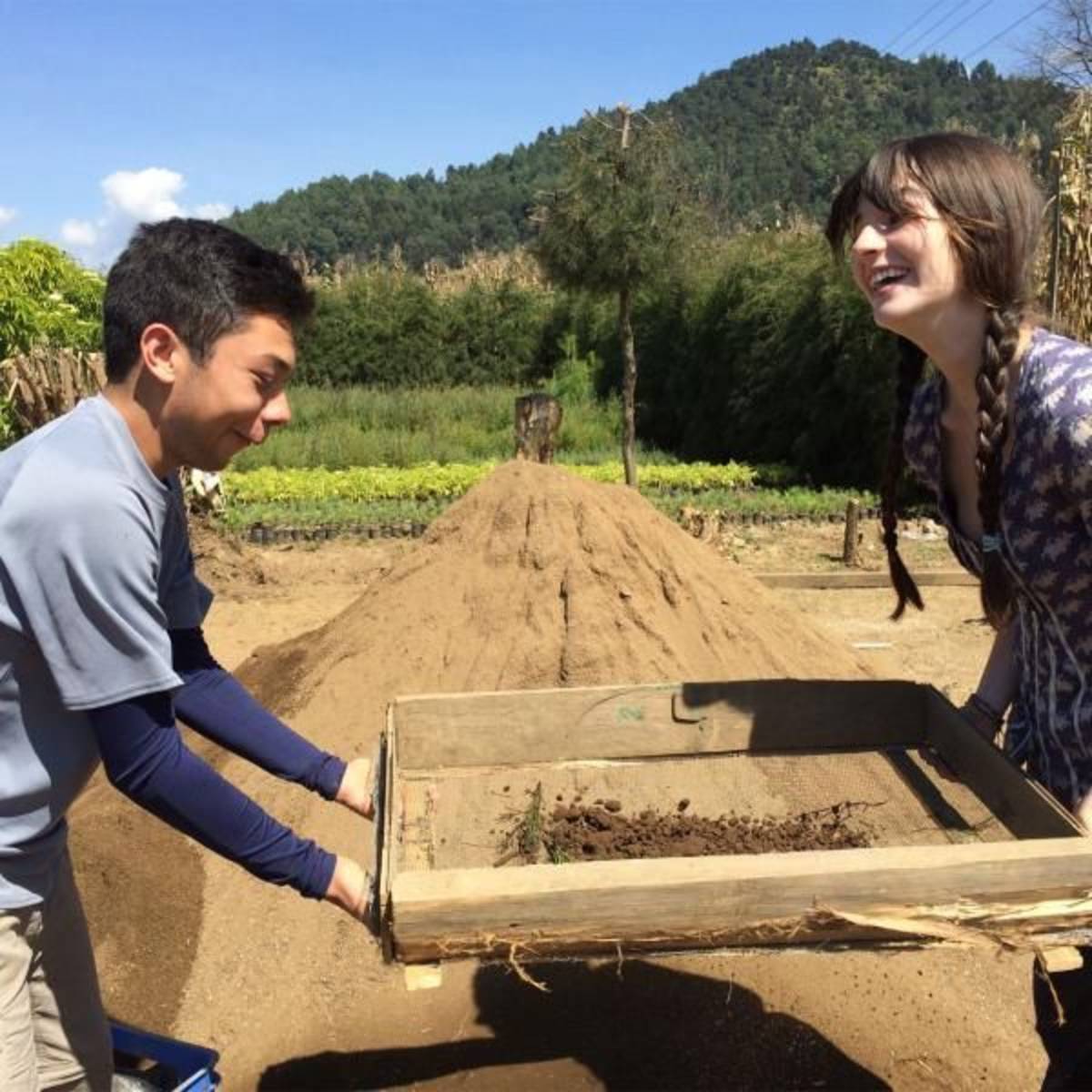 Permaculture farming in Guatemala