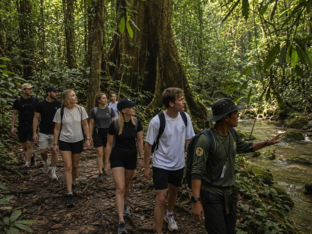 Guided group hike beside a rainforest stream