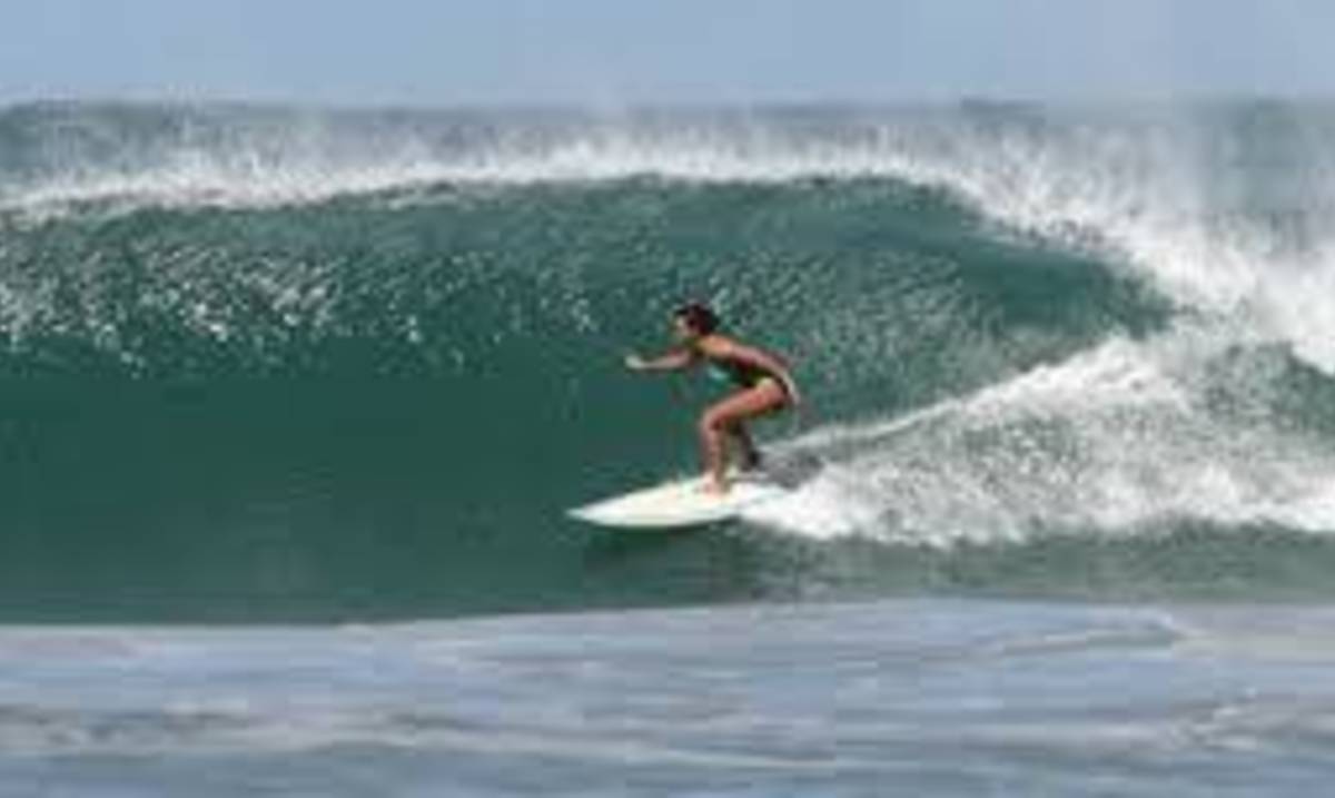 Spanish & Surf Program @ Nosara Spanish Institute — photo 4
