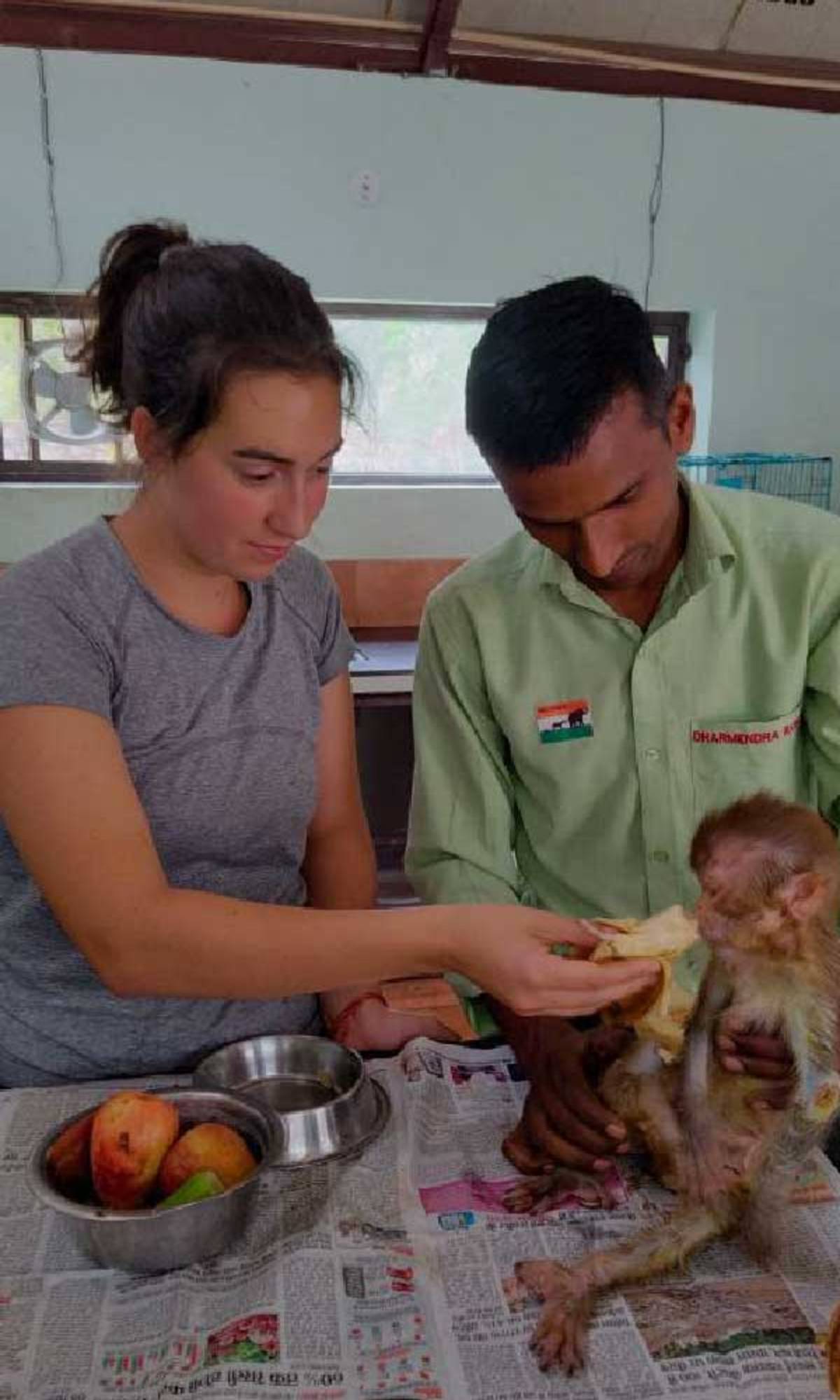 Hands-on care. Interns support wildlife rescue and rehabilitation efforts in India.