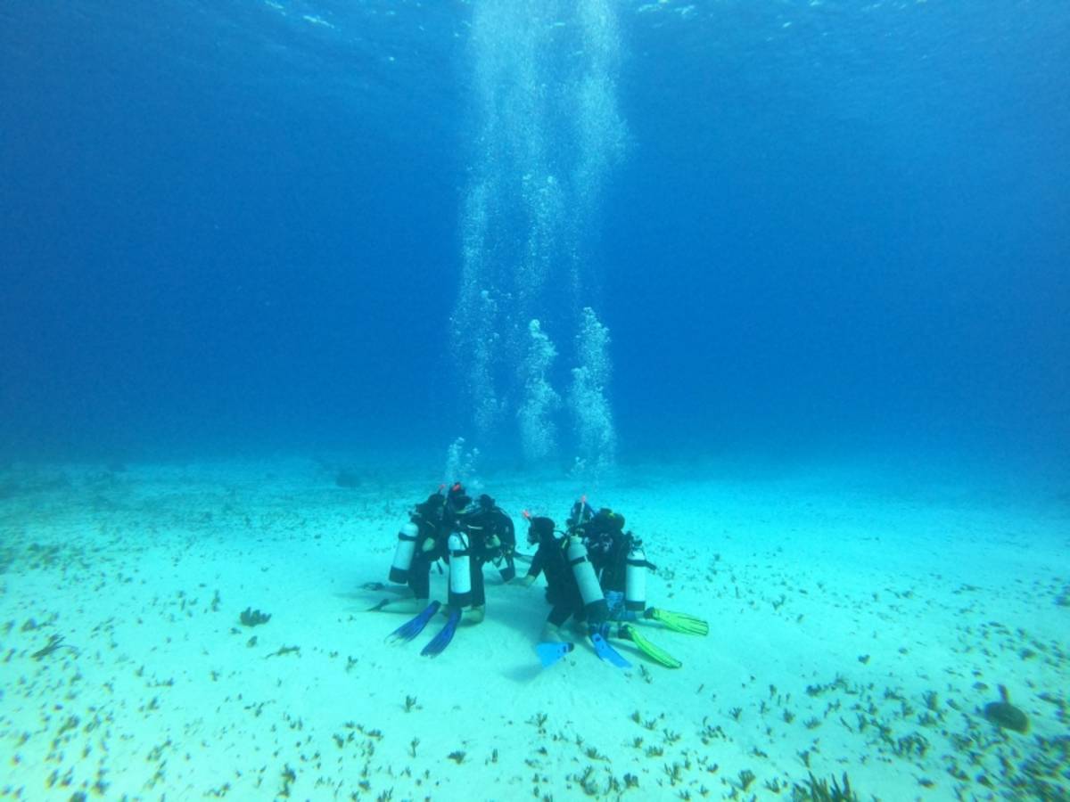 Hawaii Summer Expedition | Pacific Discovery
