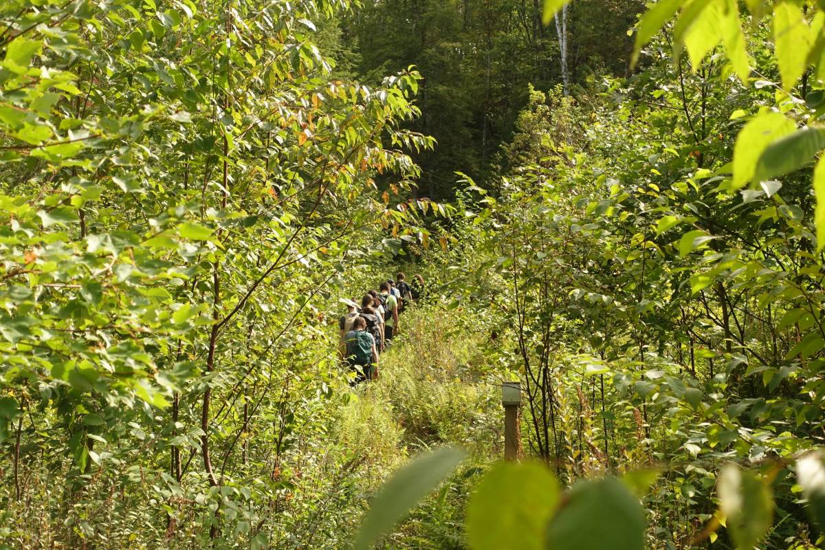 Hiking in greenery