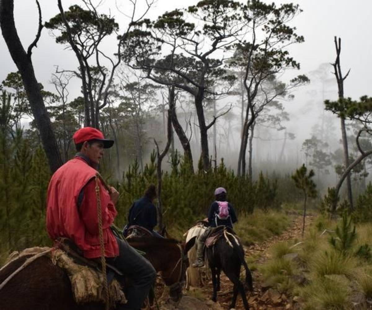 hiking-pico-duarte