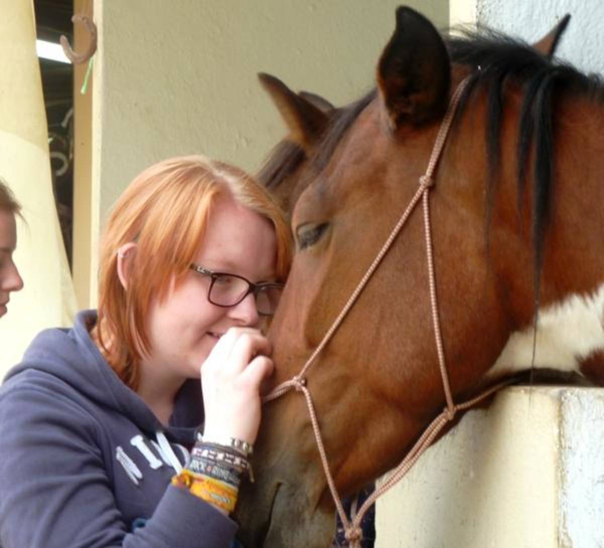 Animal Therapy Program in Ecuador with Love Volunteers!