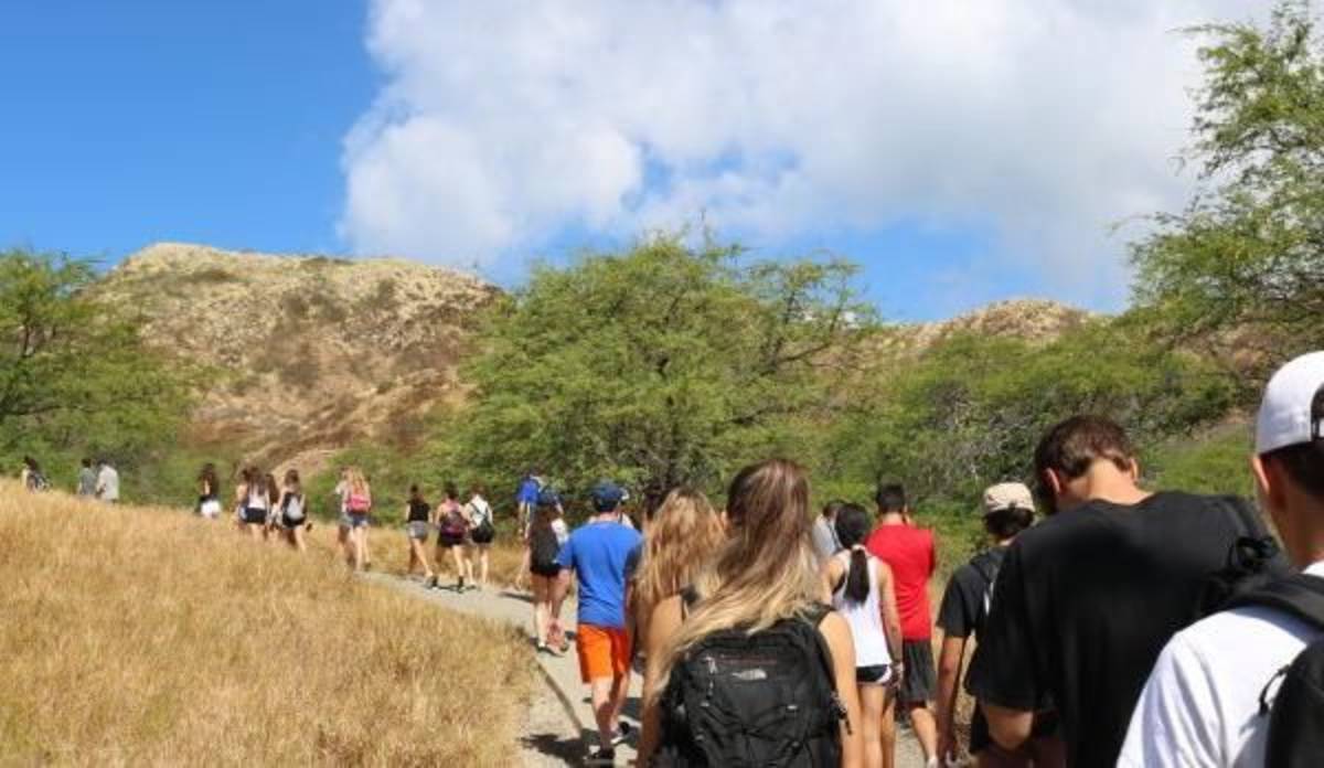 Hawaii Adventure