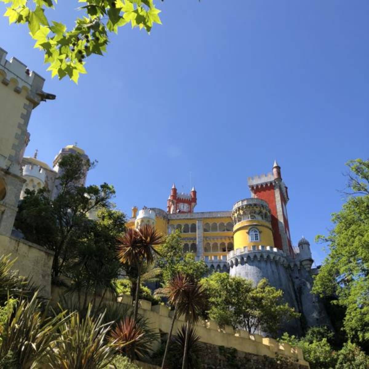 Volunteer in Portugal with IVHQ