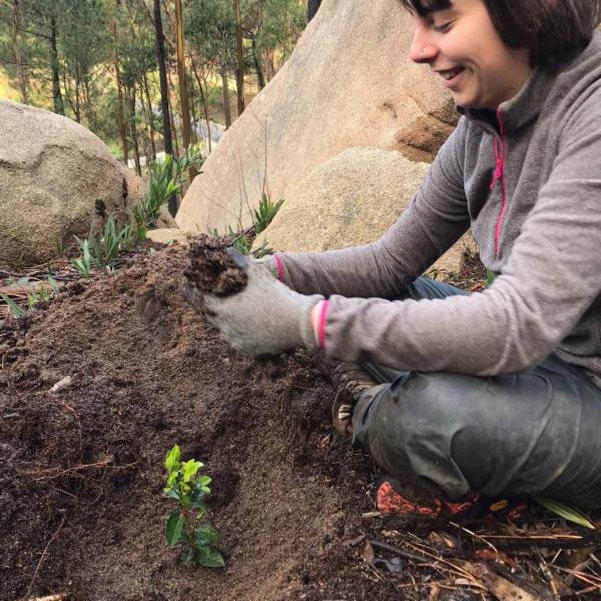 Forest Conservation