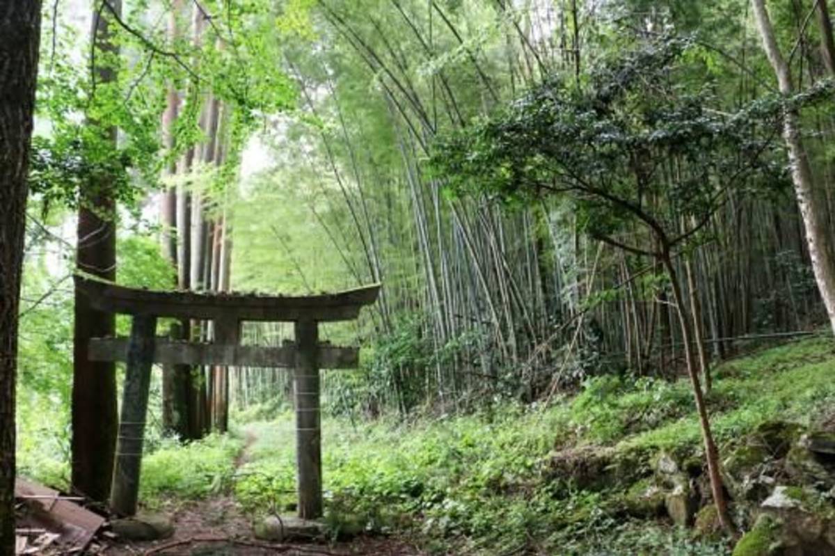 Semester in Japan – Toyo University