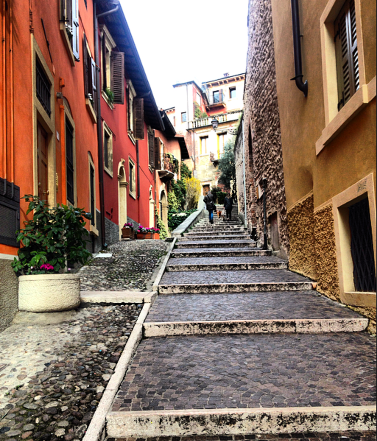 USAC Italy: Verona -International Business & Italian Studies — photo 1