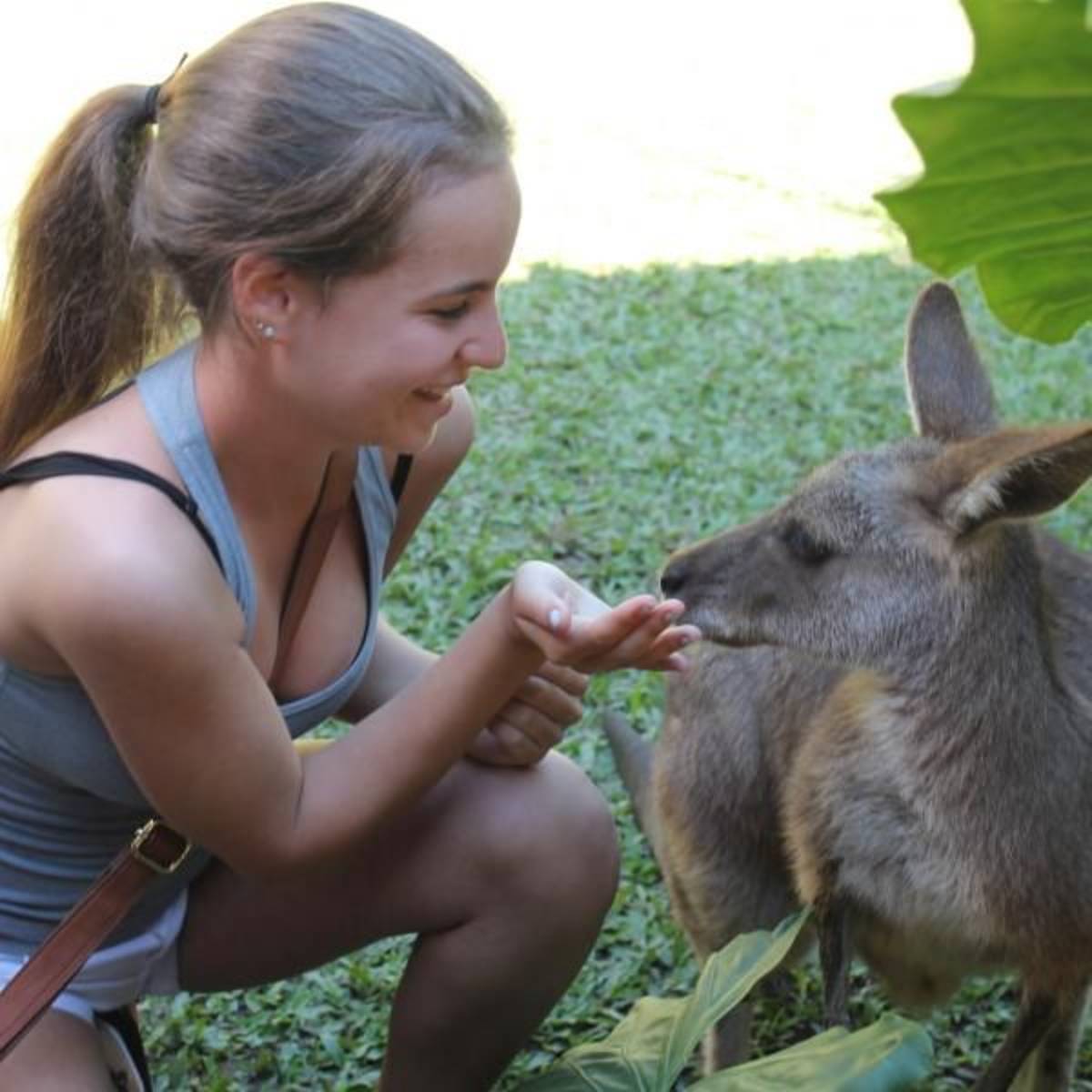 teen playing with a kangaroo australia