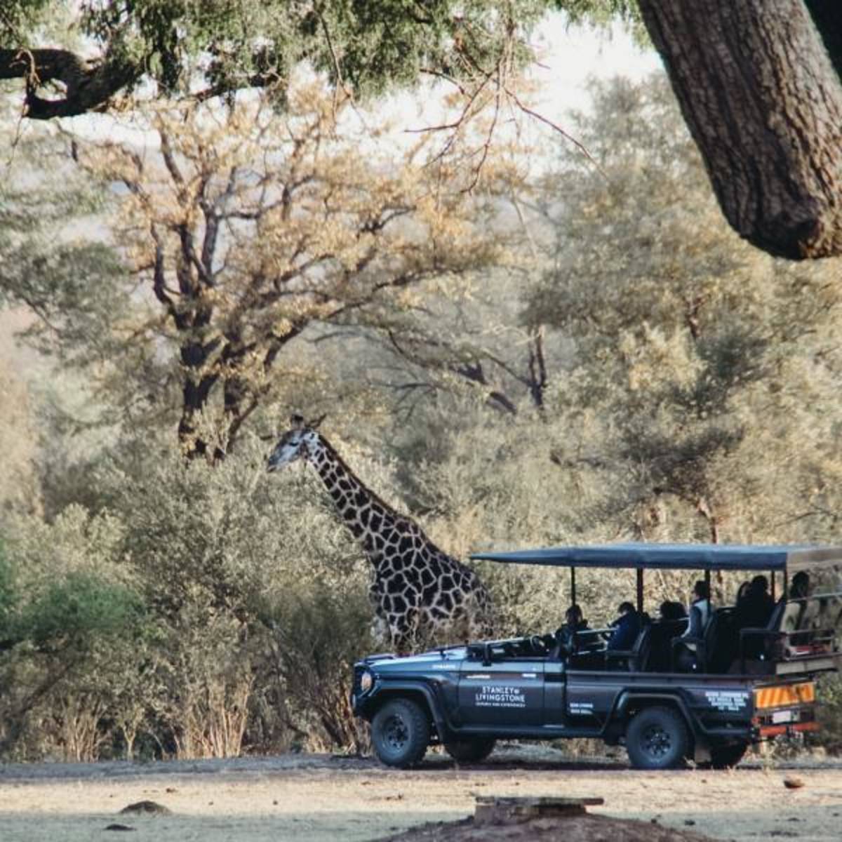 Volunteer in Vic Falls with IVHQ