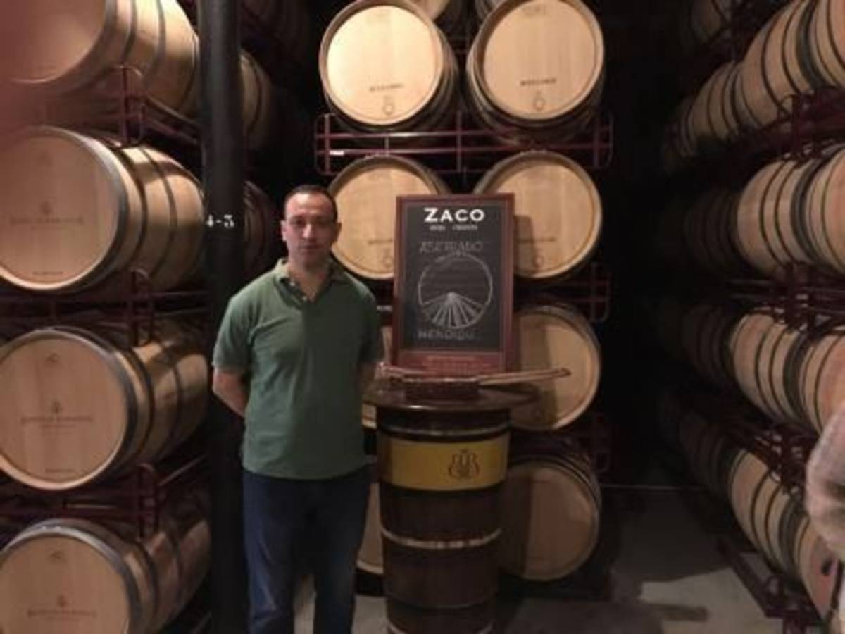 Internship in Wineries in Spain