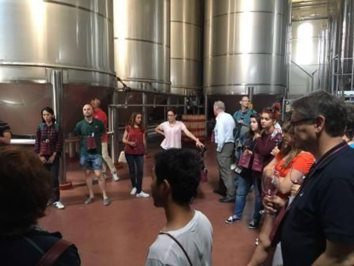 Internship in Wineries in Spain