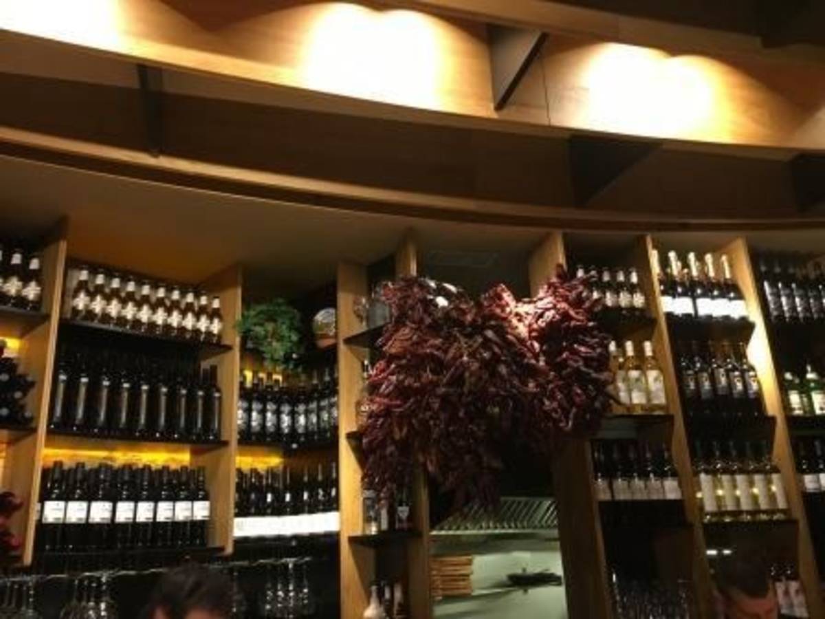 Internship in Wineries in Spain