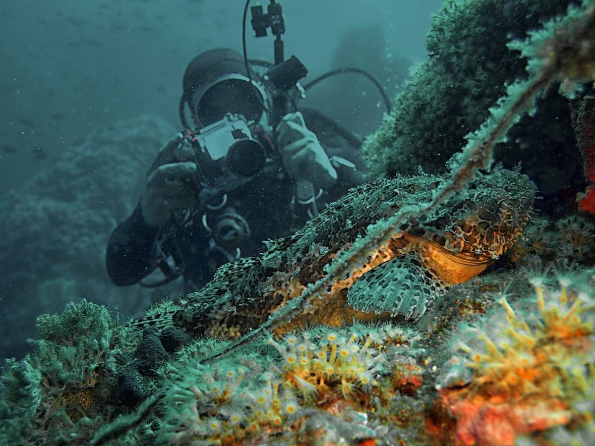 ImpacTrip Split Croatia volunteer Marine Conservation