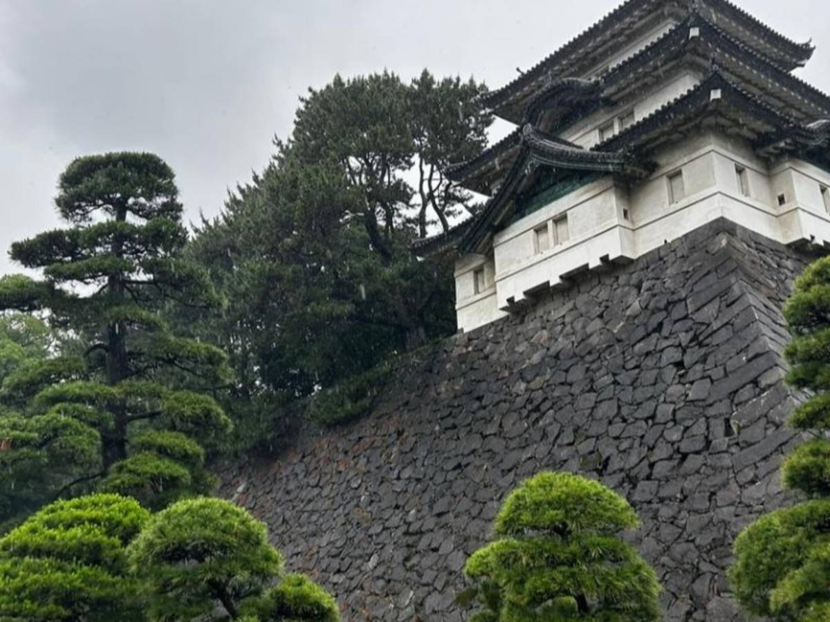 Imperial Palace in Tokyo with green grass and trees in front of it.