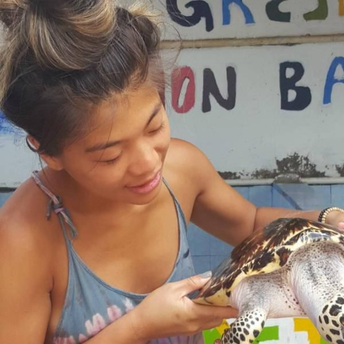 GoEco Indonesia - Bali Sea Turtle Rescue