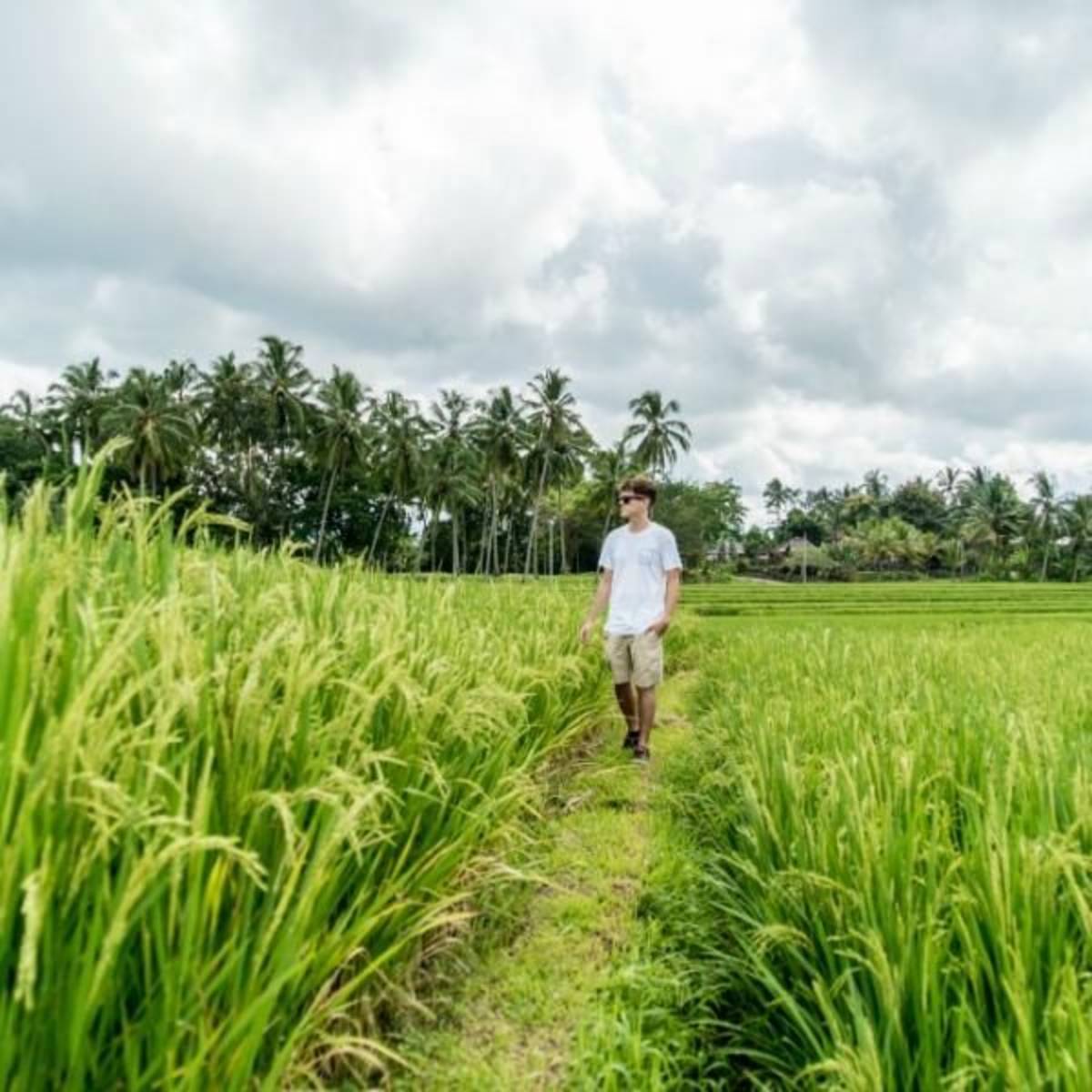 GoEco Indonesia - Education and Community Work in Bali