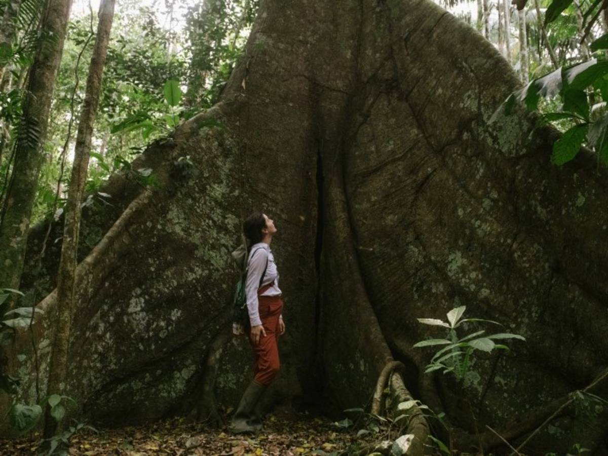 Intern standing beside a rainforest tree in the Peruvian Amazon