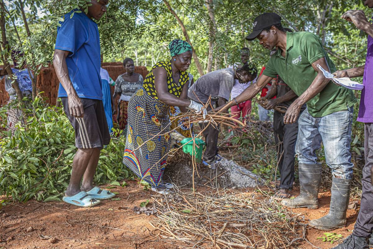 Internship in Malawi