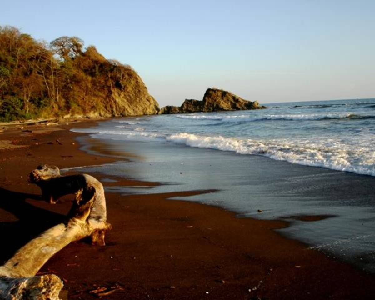 Intern in Costa Rica