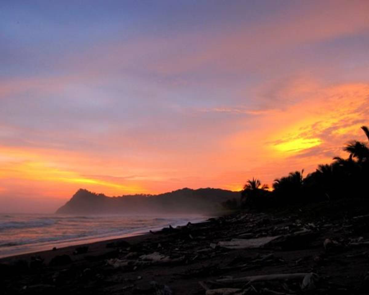 Intern in Costa Rica