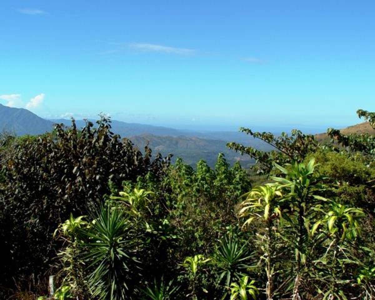 Intern in Costa Rica