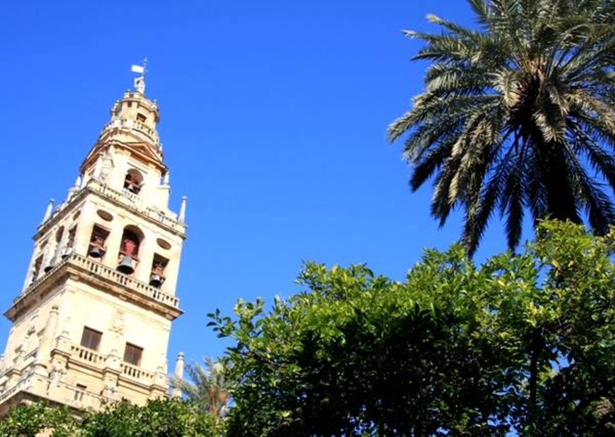 Intern in Valencia 