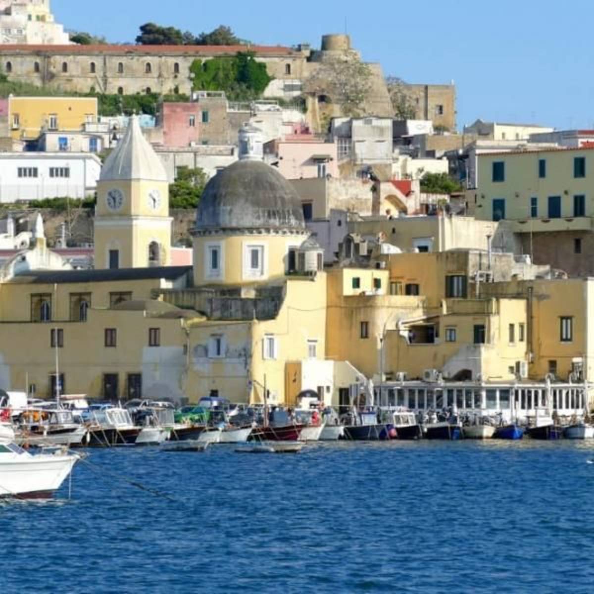 GoEco Italy - Dolphin and Marine Research