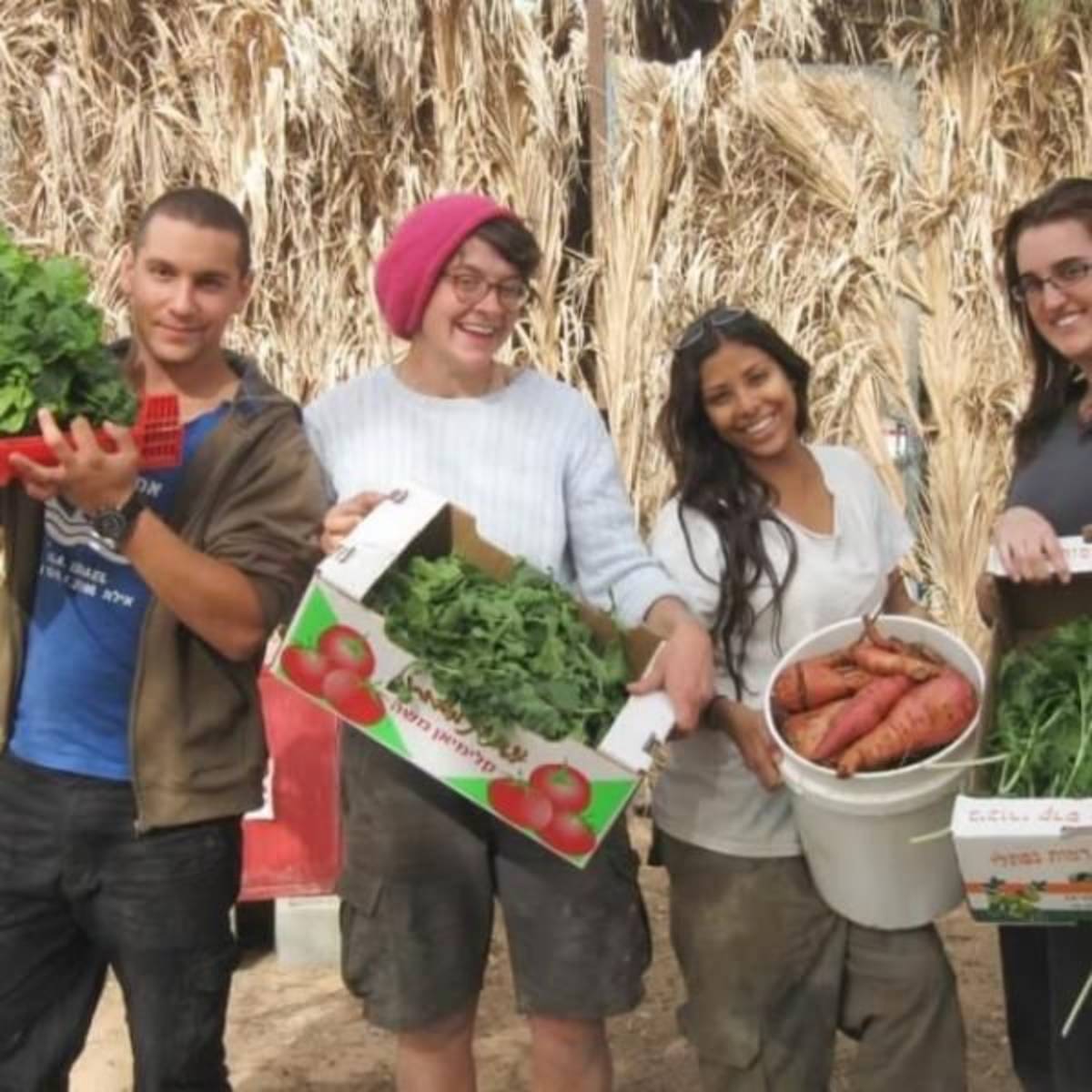 Israel - Desert Eco-Kibbutz Program