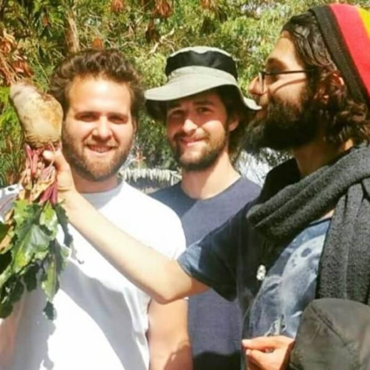 Israel - Desert Eco-Kibbutz Program