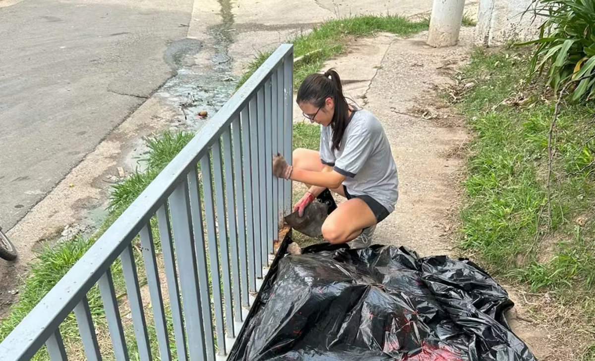 IVHQ Volunteer clearing rust from a fence in Cordoba Argentina