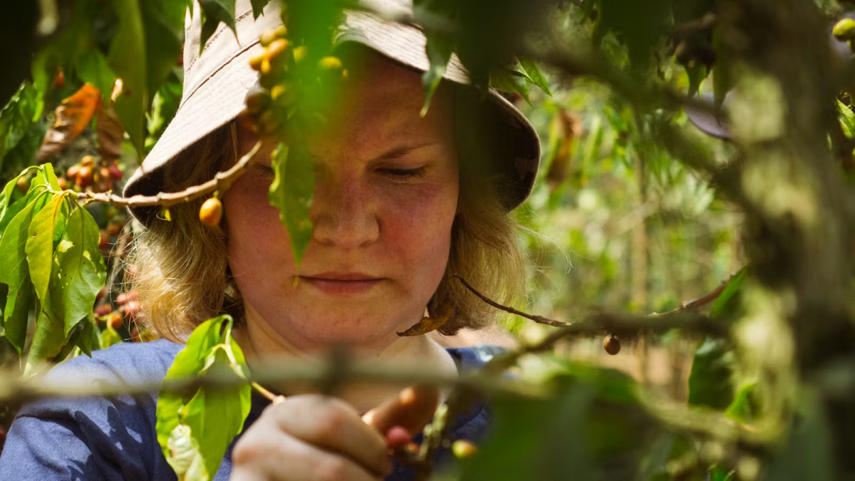 IVHQ Volunteer Participating in the Eco Agriculture Program in Guatemala