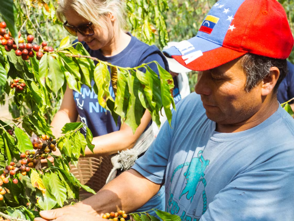IVHQ Volunteer picking Berries in Guatemala