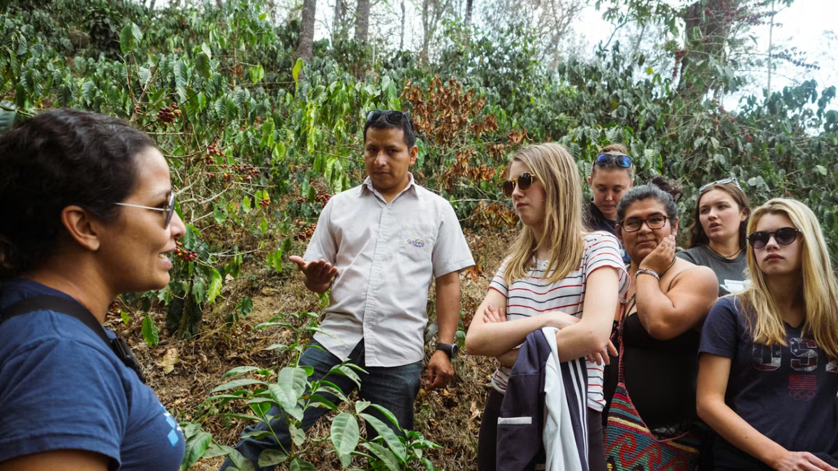 IVHQ Volunteers Touring a Coffee Farm in Guatemala