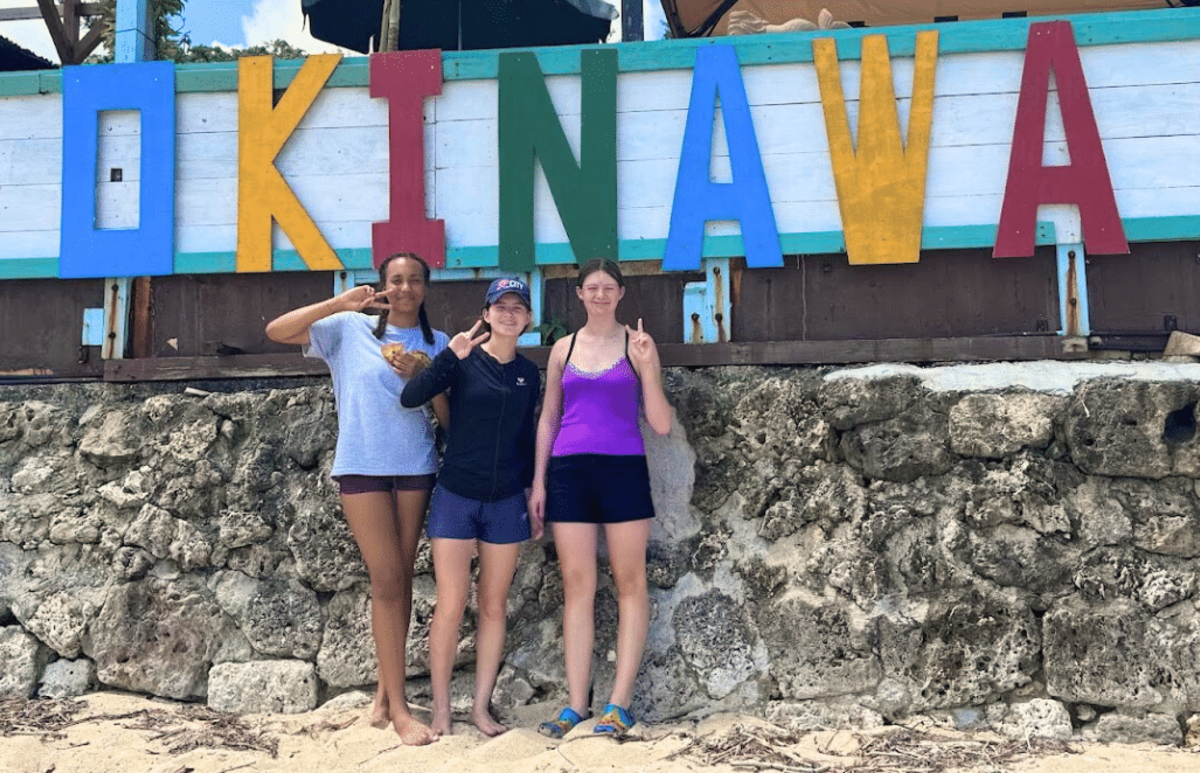 Japan – Sea Turtle Conservation Volunteering in Okinawa