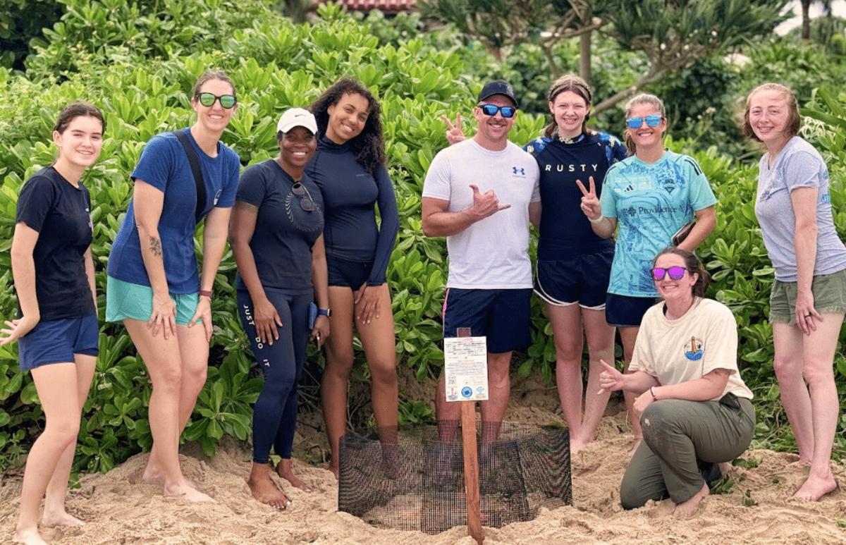Japan – Sea Turtle Conservation Volunteering in Okinawa