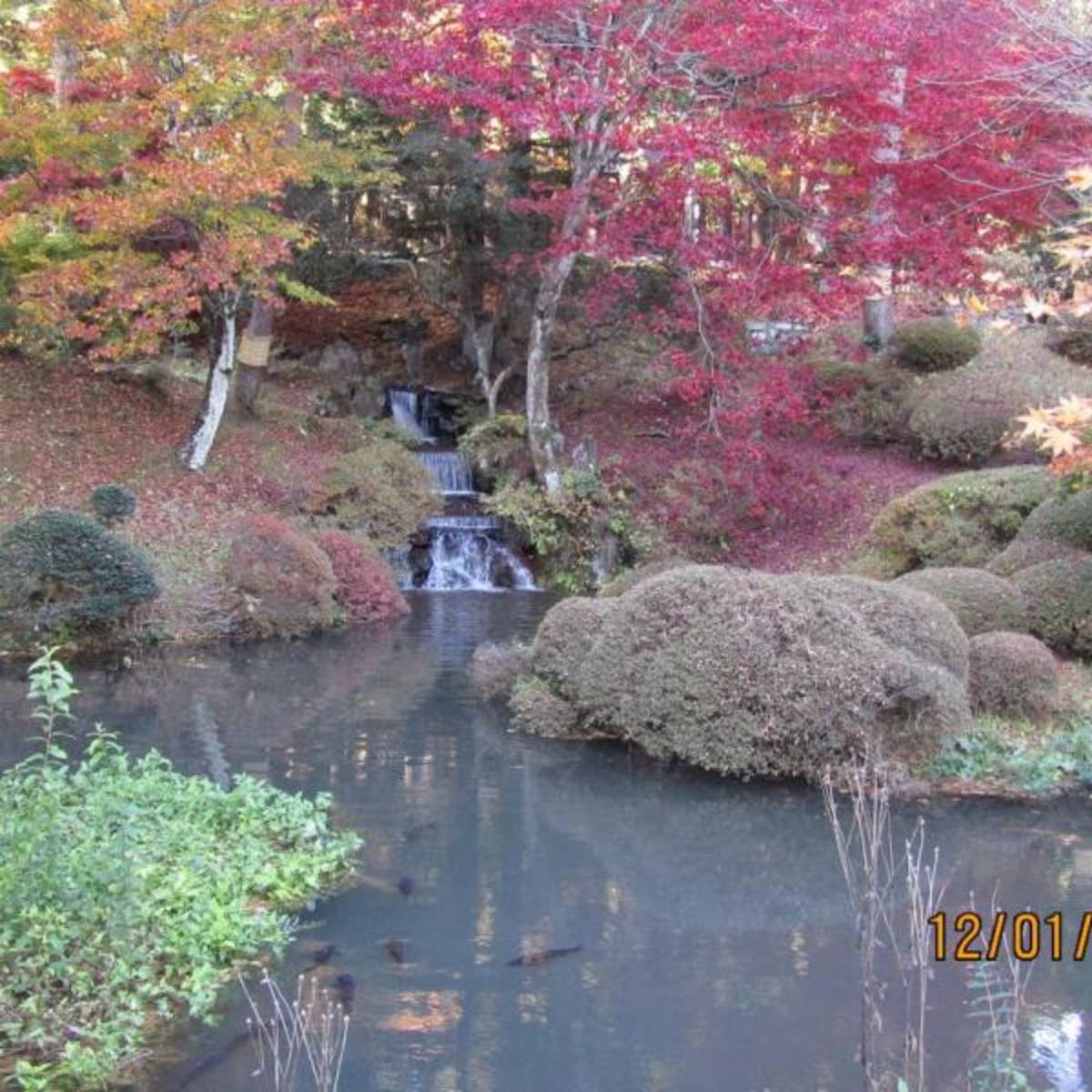 High School Abroad in Japan with Greenheart Travel — photo 2