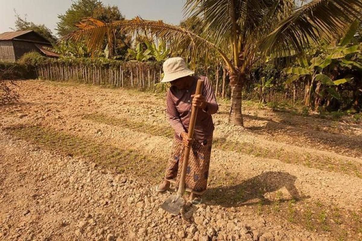 Khmer Lady digging