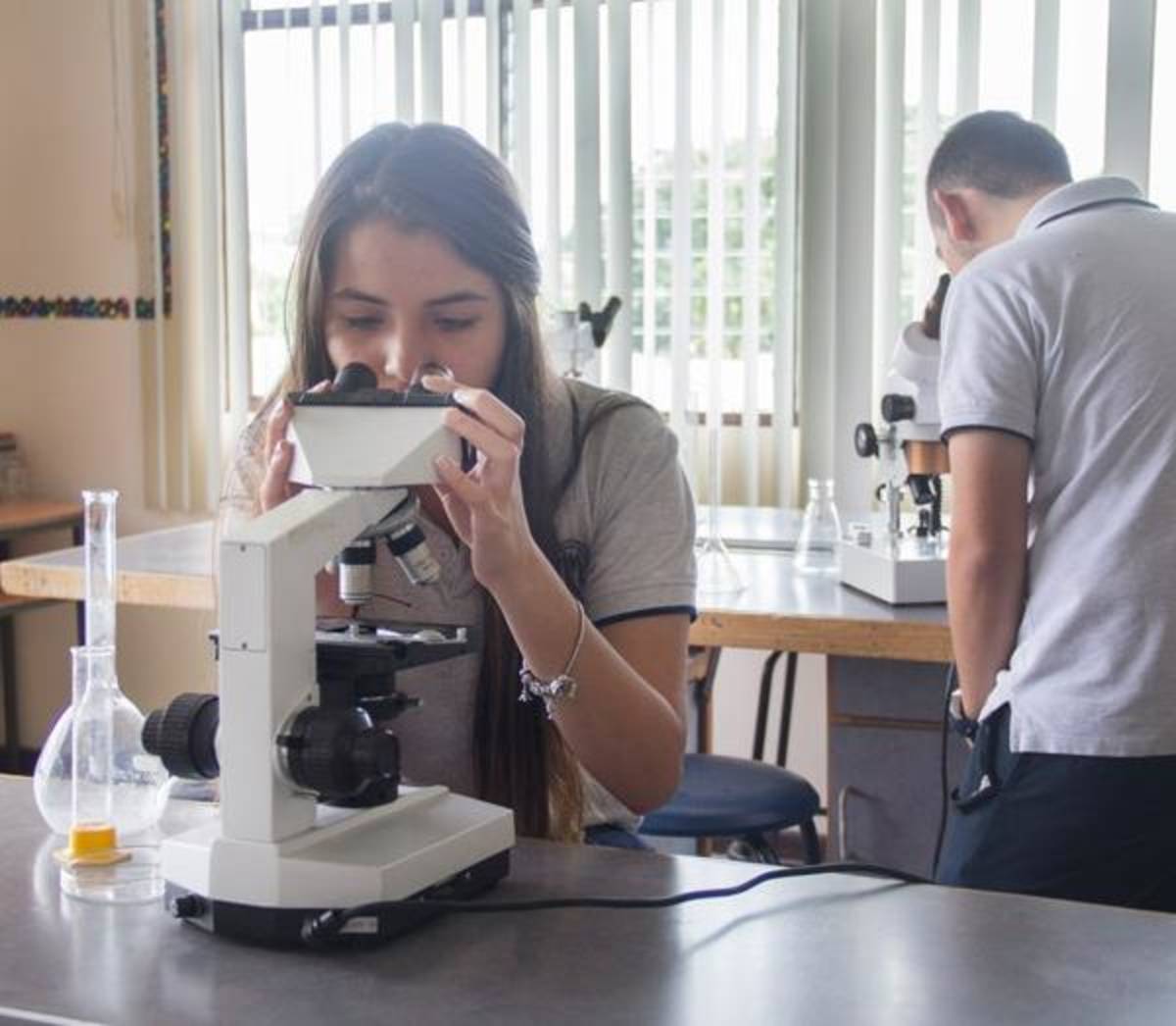Laboratory