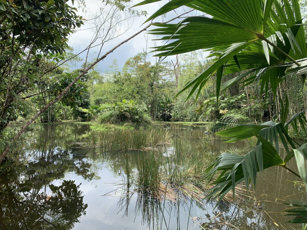 lake