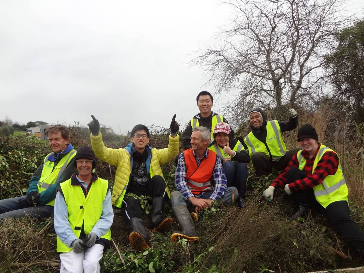 Volunteers in New Zealand