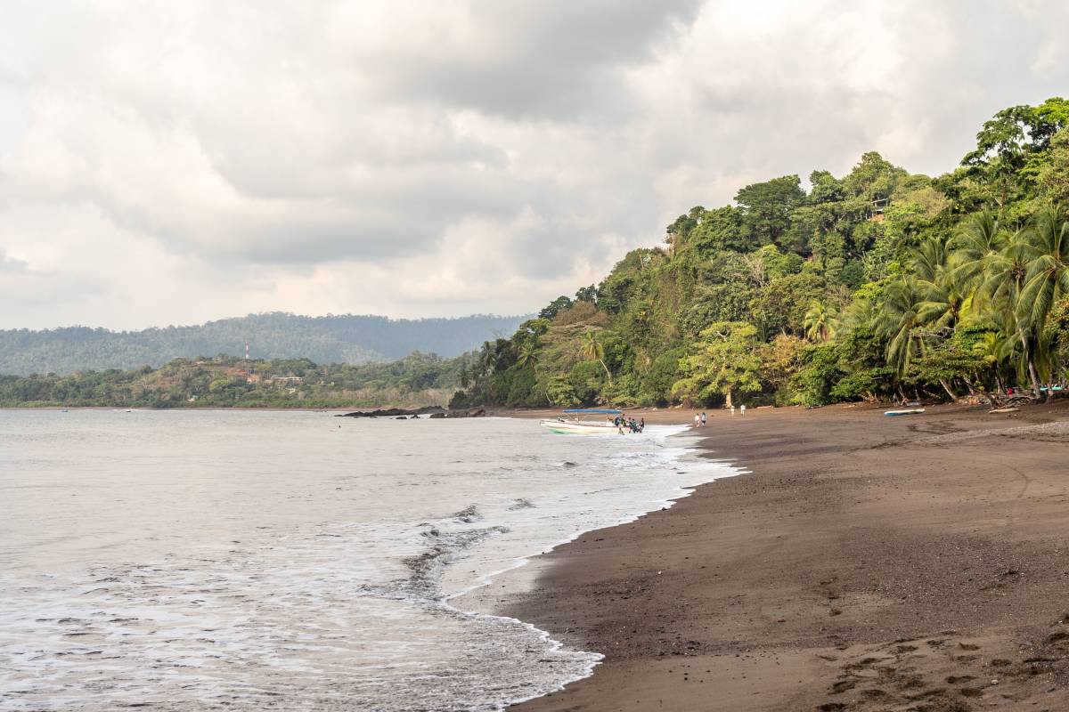Landscape shot of beach with treeline.