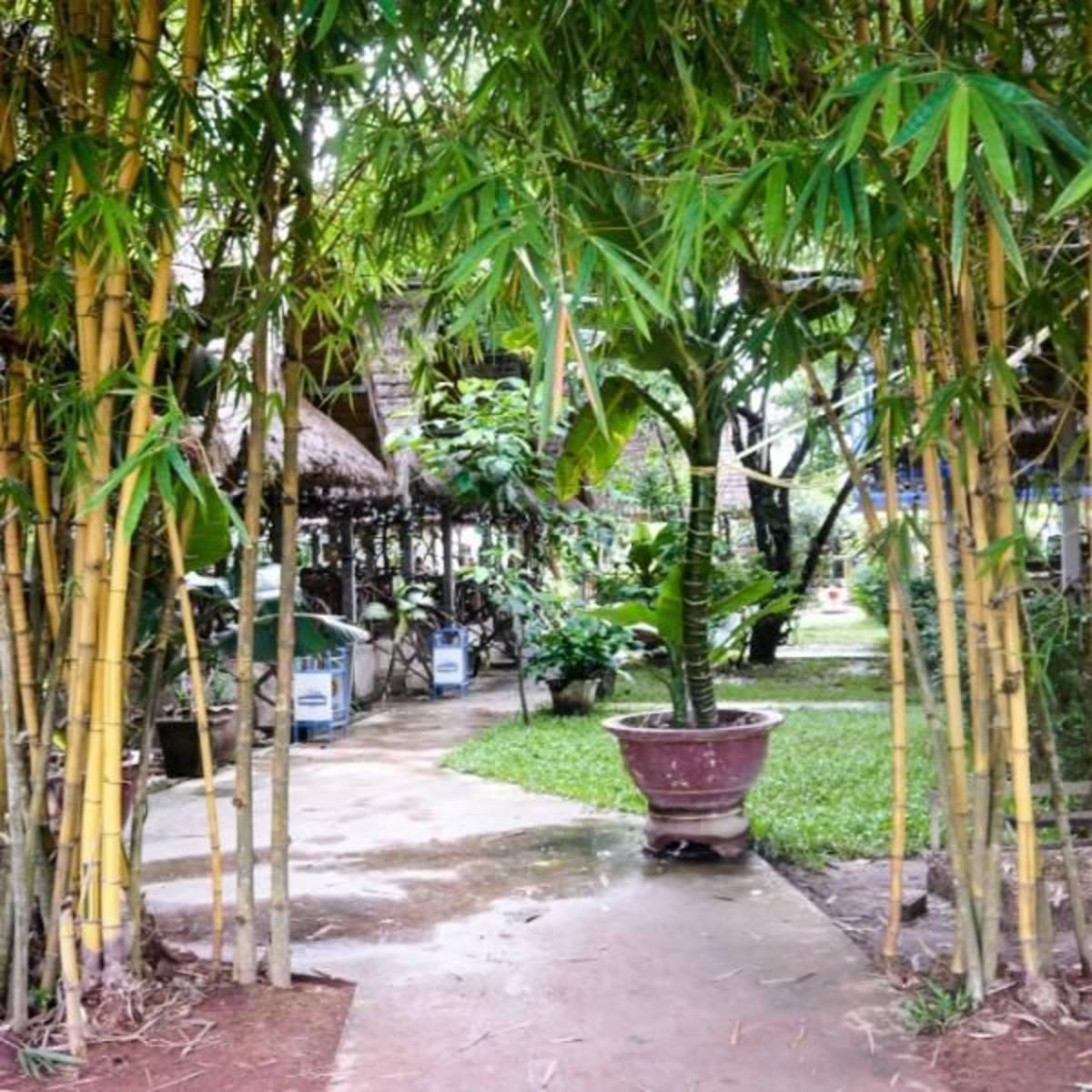 GoEco Laos - Village Child Care