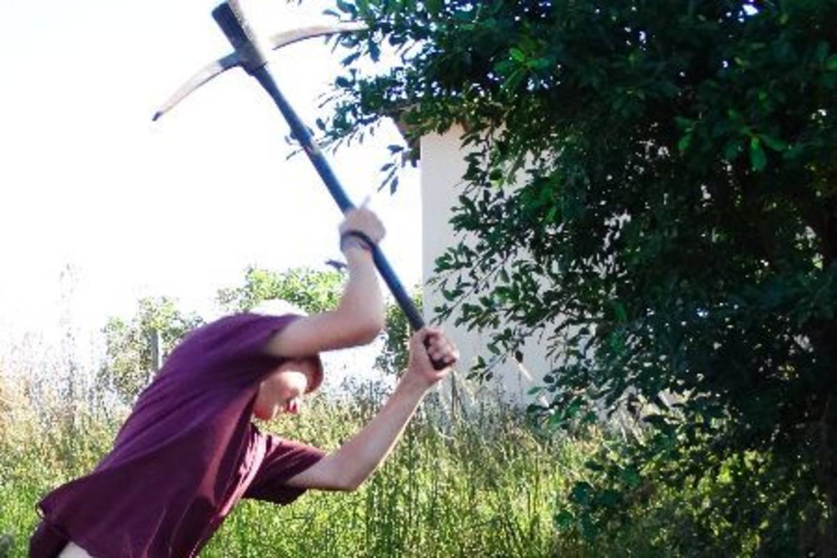 Volunteer using an axe