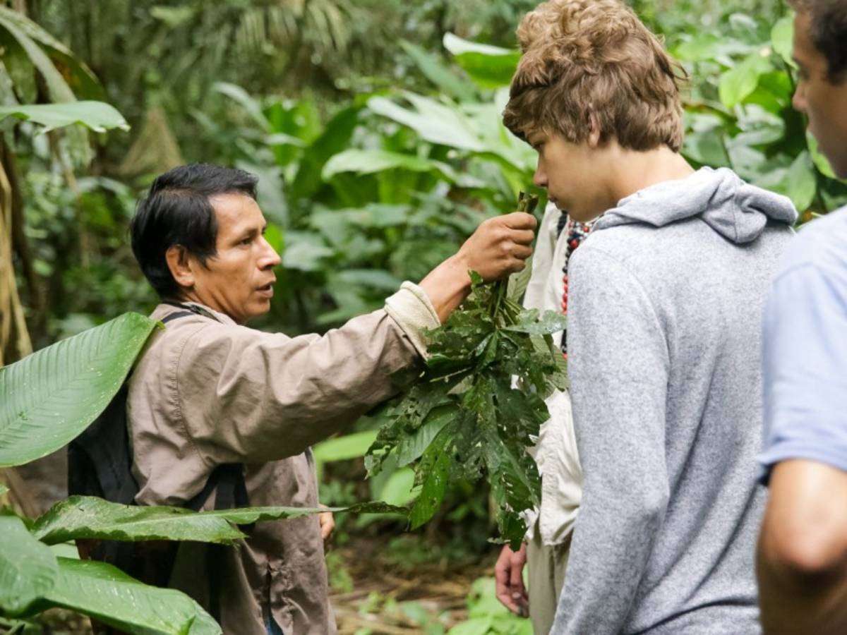 Learning about rainforest